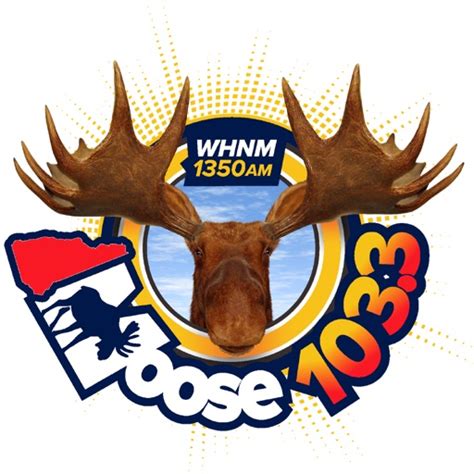 103.3 Moose FM .